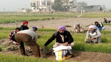 ਪਿੰਡ ਸੰਦੌੜ ਦੇ ਕਿਸਾਨ ਸ੍ਰੀ ਤੀਰਥ ਸਿੰਘ ਨੇ ਬਾਗ਼ਬਾਨੀ ਦੇ ਖੇਤਰ ਵਿੱਚ ਆਪਣੀ ਵਿਲੱਖਣ ਪਹਿਚਾਣ ਬਣਾਈ