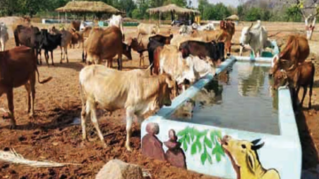 For livestock owners, the government has implemented several welfare schemes, Sandeep Singh