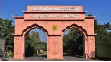 Dismissed-Employee-Of-Agricultural-University-Reinstated-After-Protest-Action-Against-Aap-Leader-Also-Planned