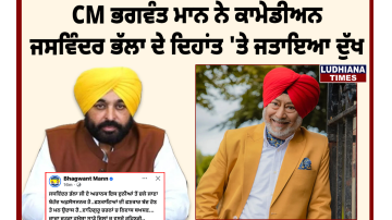ਜਸਵਿੰਦਰ ਭੱਲਾ ਦੇ ਦਿਹਾਂਤ 'ਤੇ CM ਮਾਨ ਨੇ ਪ੍ਰਗਟਾਇਆ ਦੁੱਖ