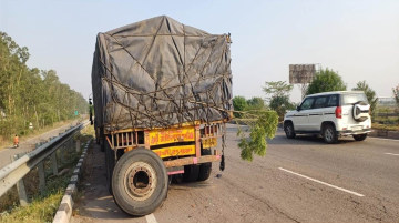 punjab