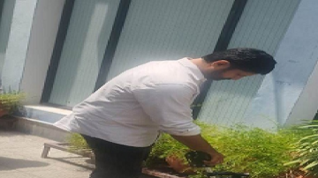 punjab
